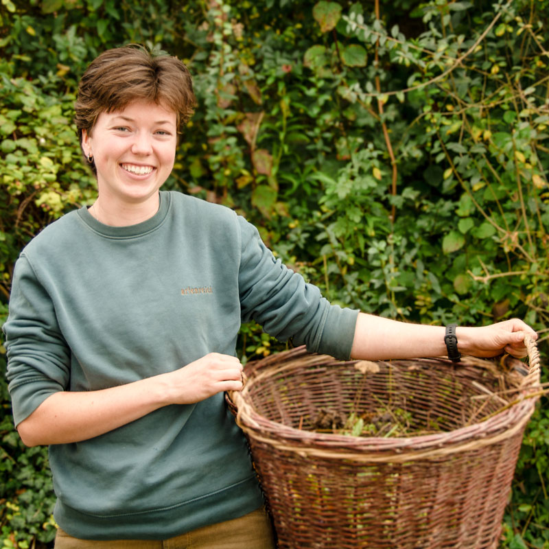 Charlie-Nufer-ersetzen